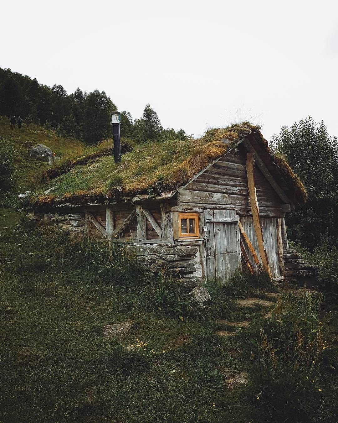 Заброшенная изба в лесу