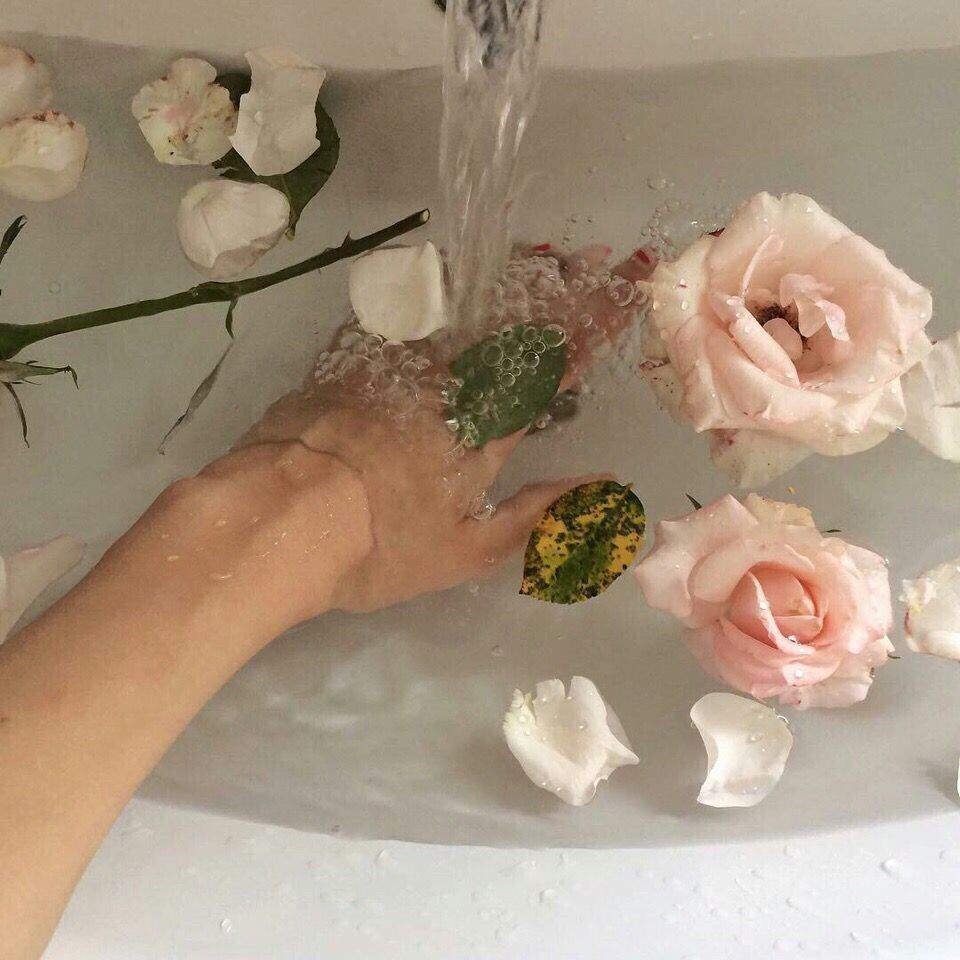 Цветы в ванной в воде