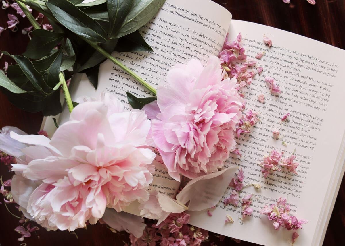 Пионы и книги