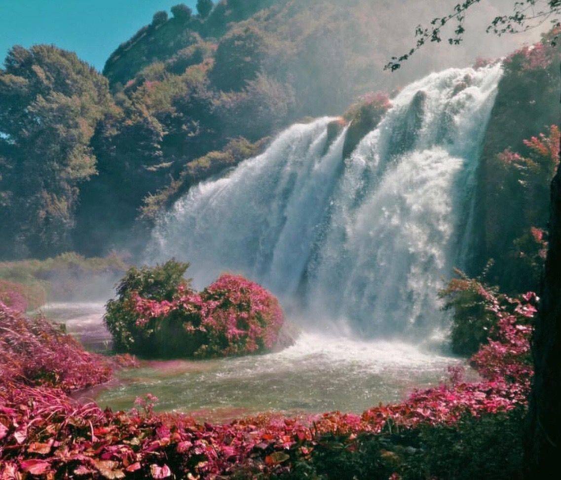 Видео красивеньких. Маргаритки водопад. Водопад цветы. Водопад с цветами. Эстетика природы водопад.
