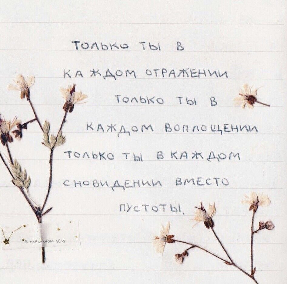 Красивые фразы Эстетика