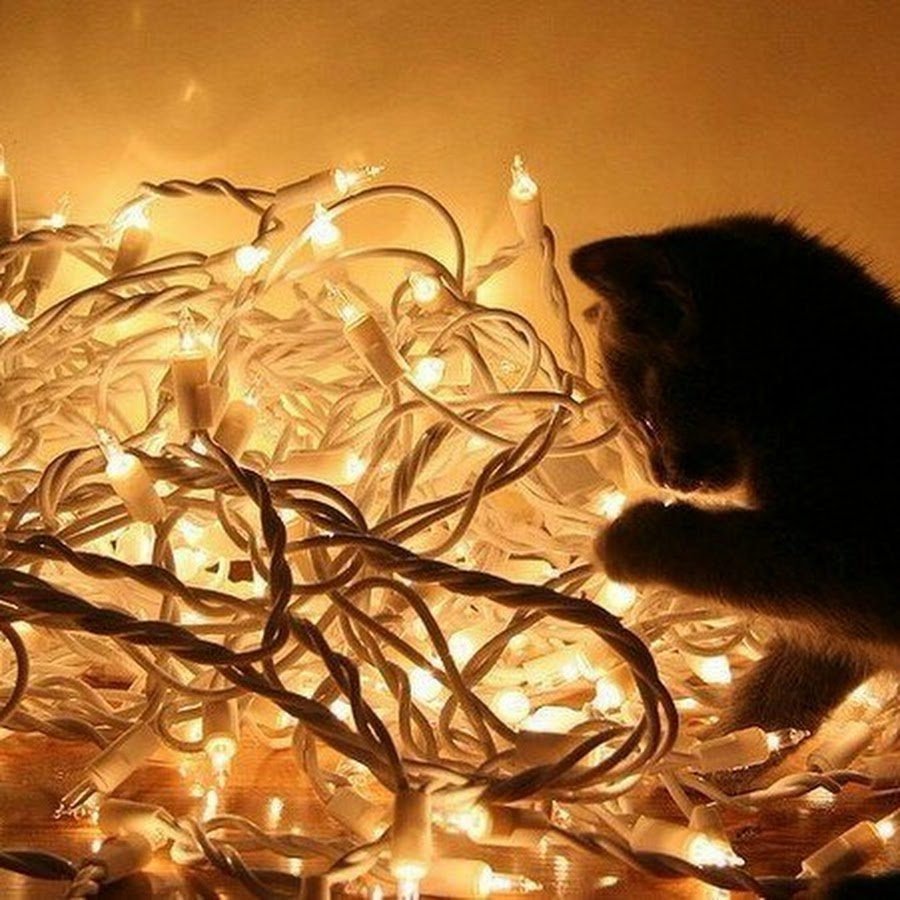 Гирлянда кошка