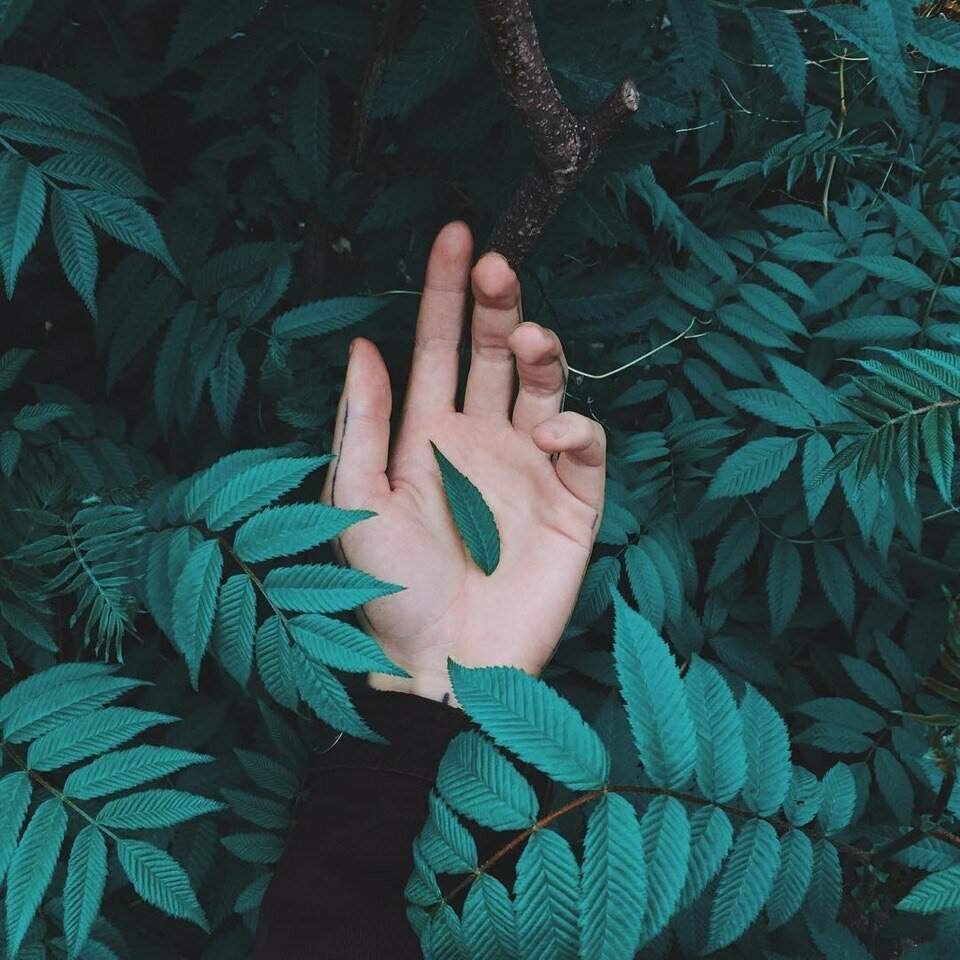 Руки Эстетика