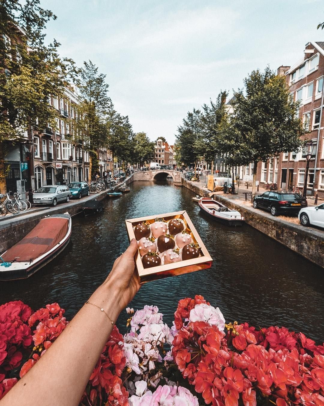 Амстердам эстетика