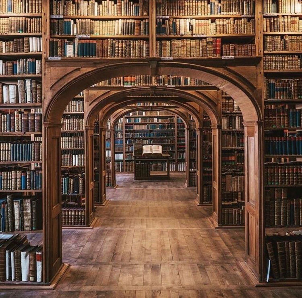 Библиотека без людей. Красивая библиотека. Книжные полки в библиотеке. Старинная библиотека. Много книг.