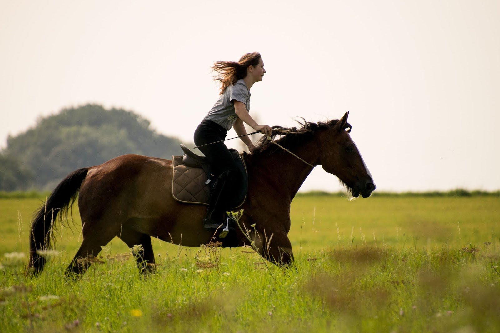 Над верхом. Девушка верхом на лошади. Девушка на коне верхом. Верхом в поле. Верхом на лошади галопом.