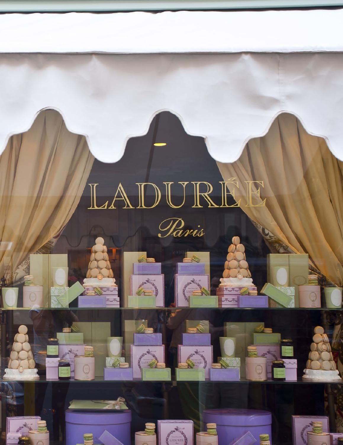 Pastry shop Showcase