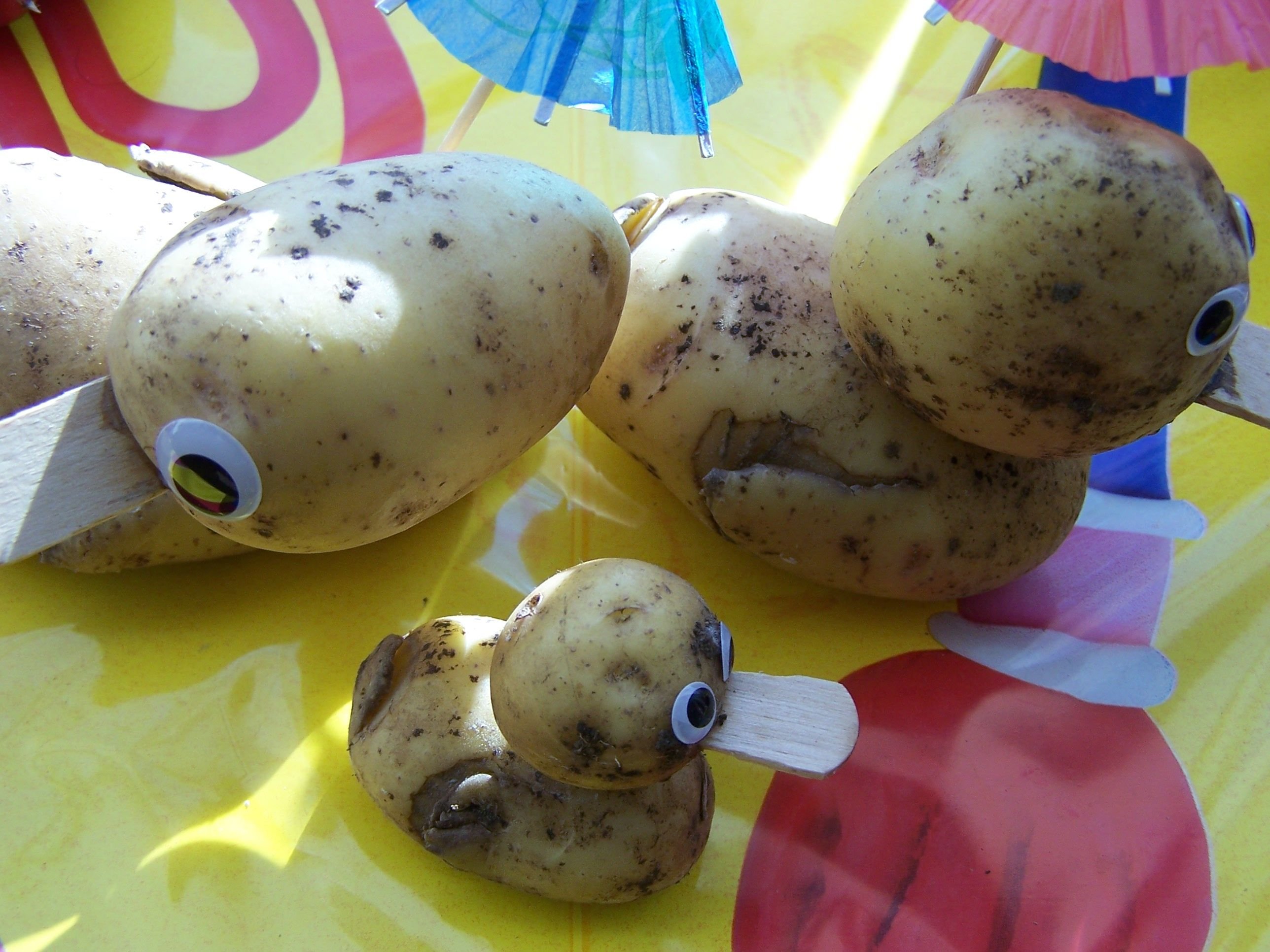 Детские поделки из картофеля