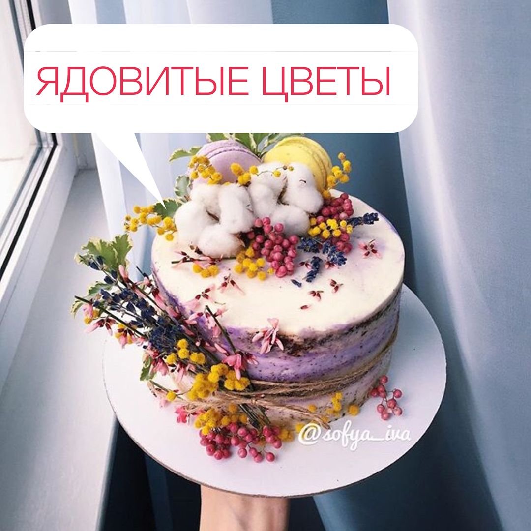 Десерт акварель