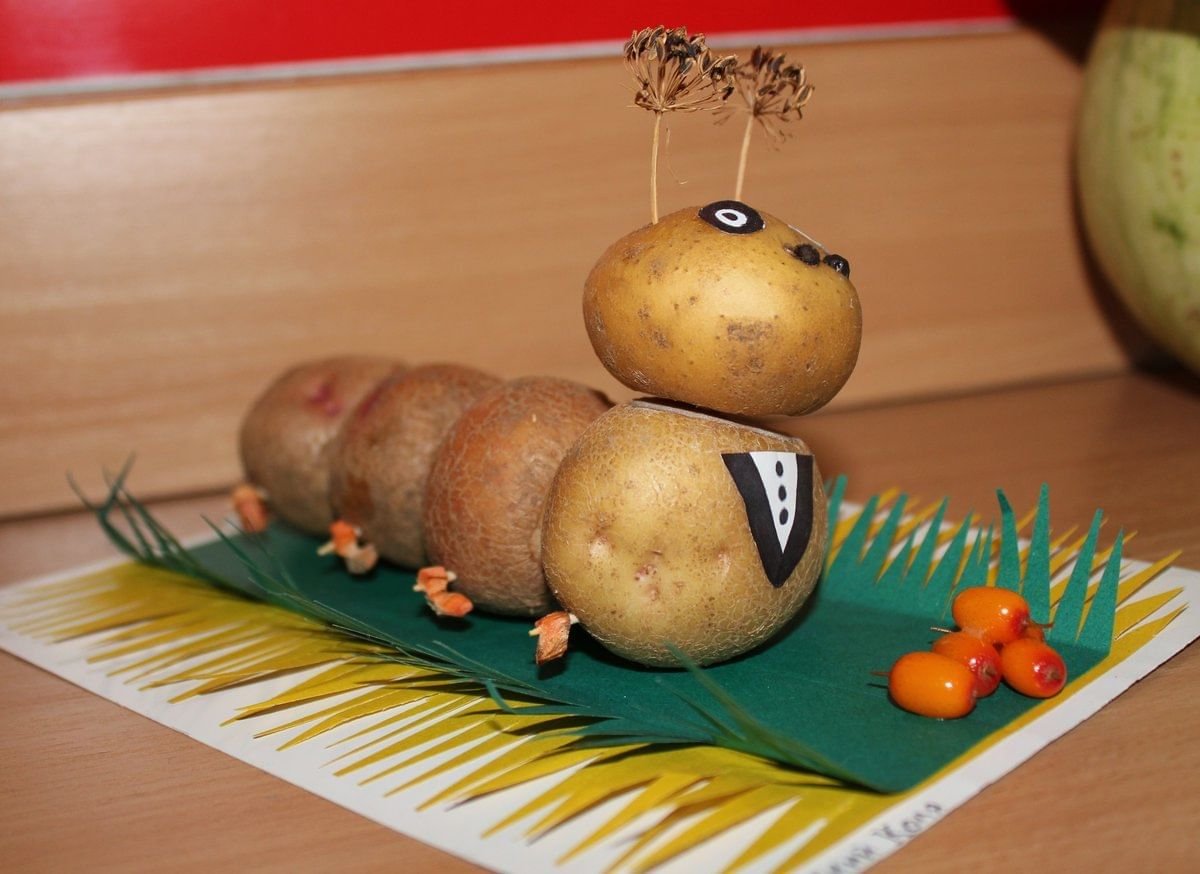Лотос Карвинг