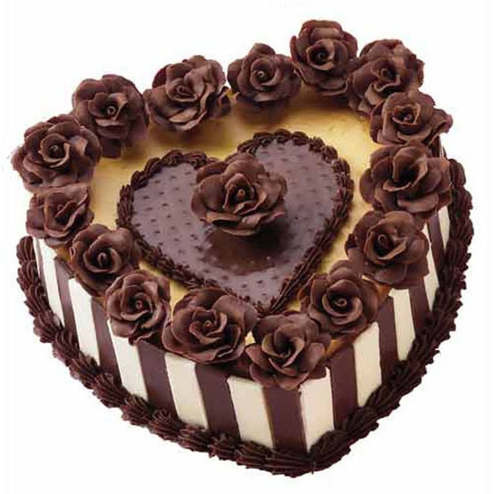 Cake photo Studio