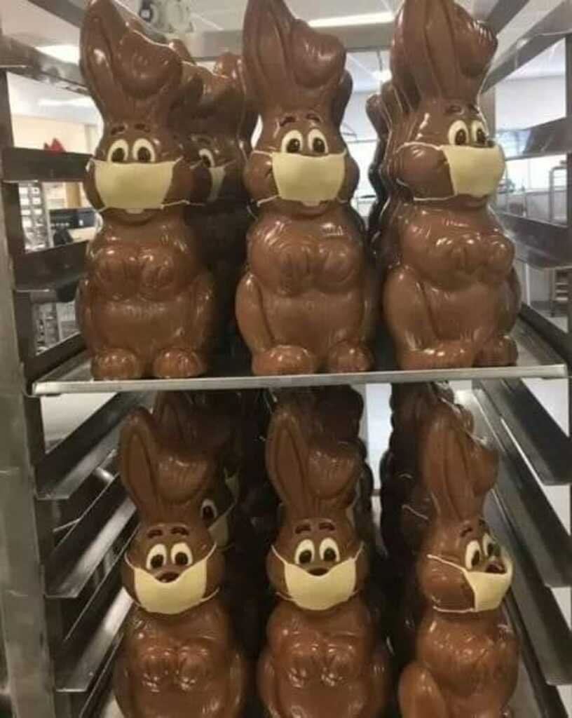 Шоколадный кролик мужик