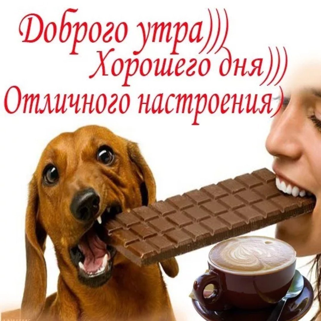 Шоколад без сахара мастерская добра