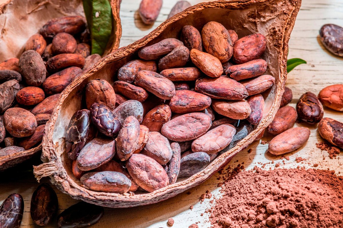 Criollo (Криолло) какао Бобы