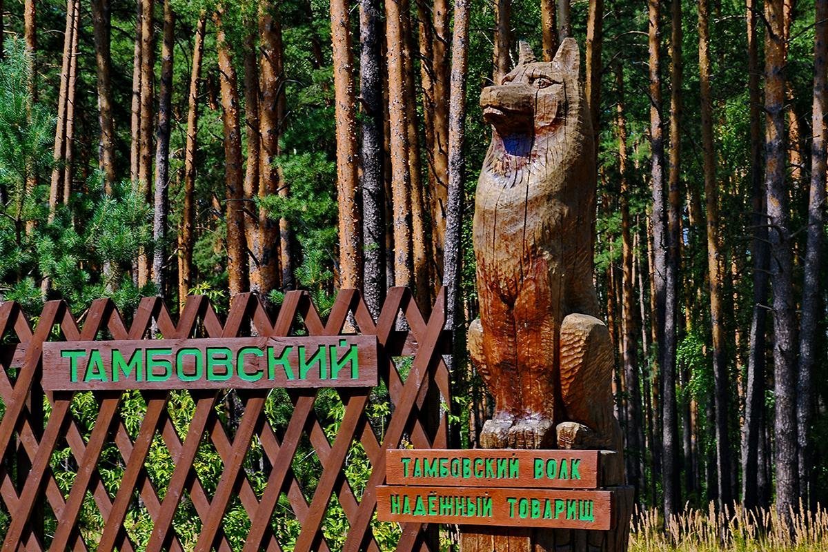 Сабвуфер FBT LS 61a