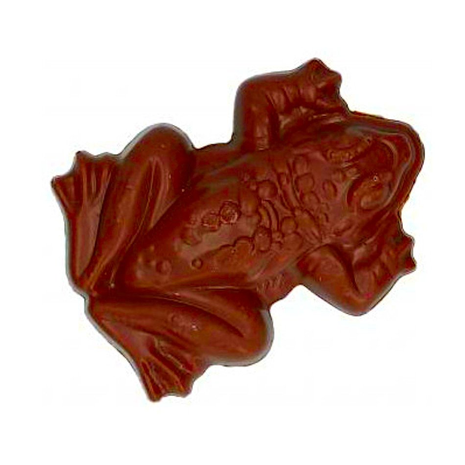 Chocolate Frog Harry Potter