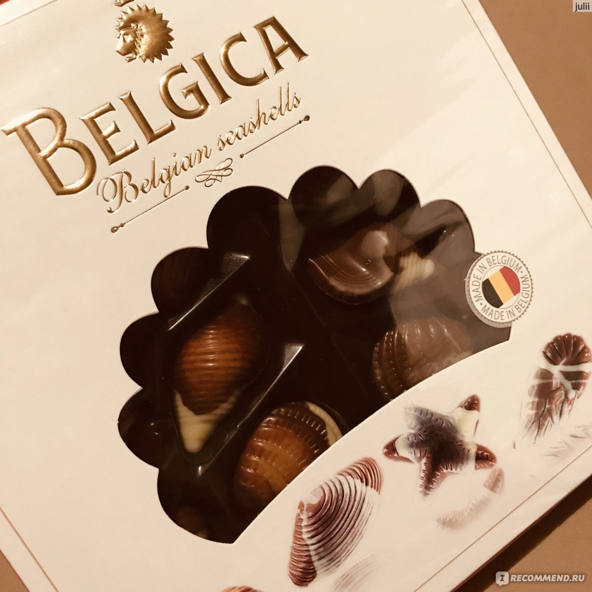 Belgian Chocolate Seashells