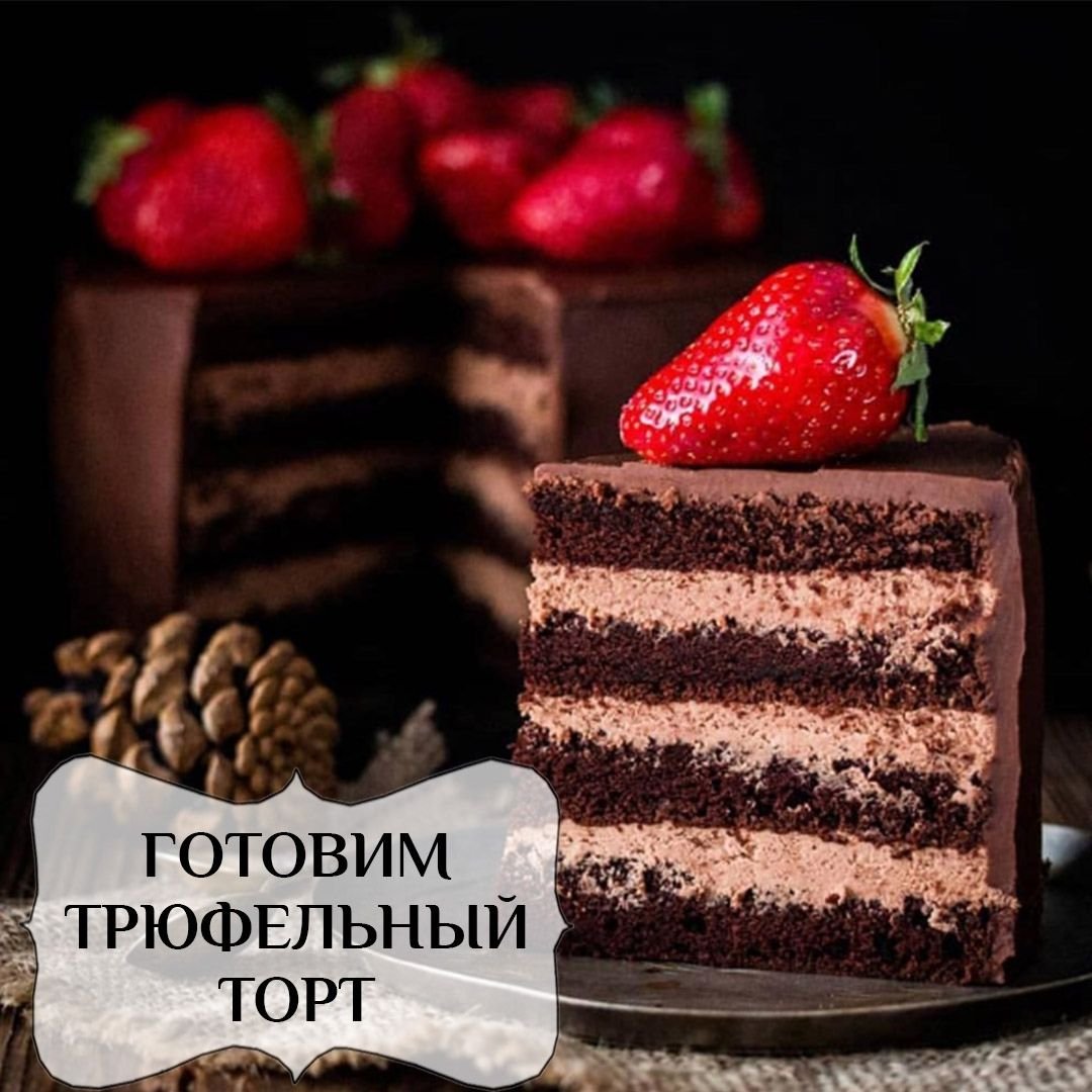 Торт Тотальный шоколад