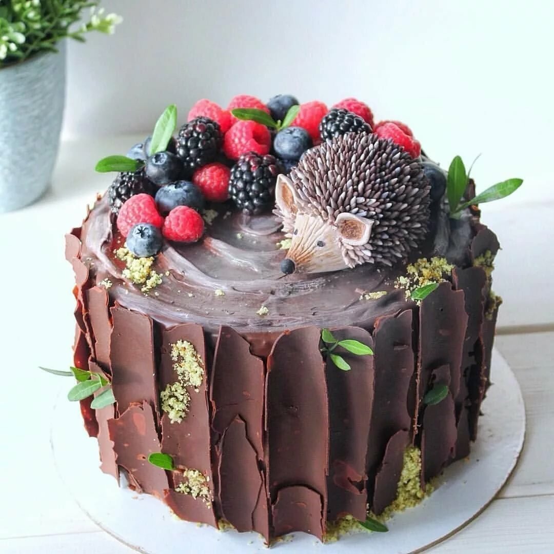 Tortebi Naruto