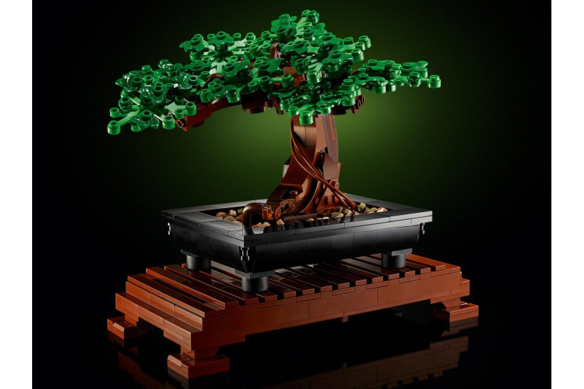 Дерево Bonsai 4k