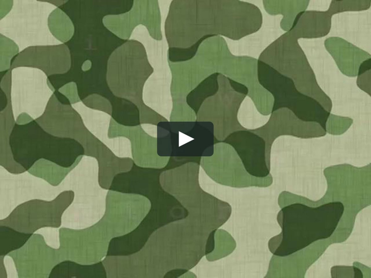 Камуфляж a TACS FG IX