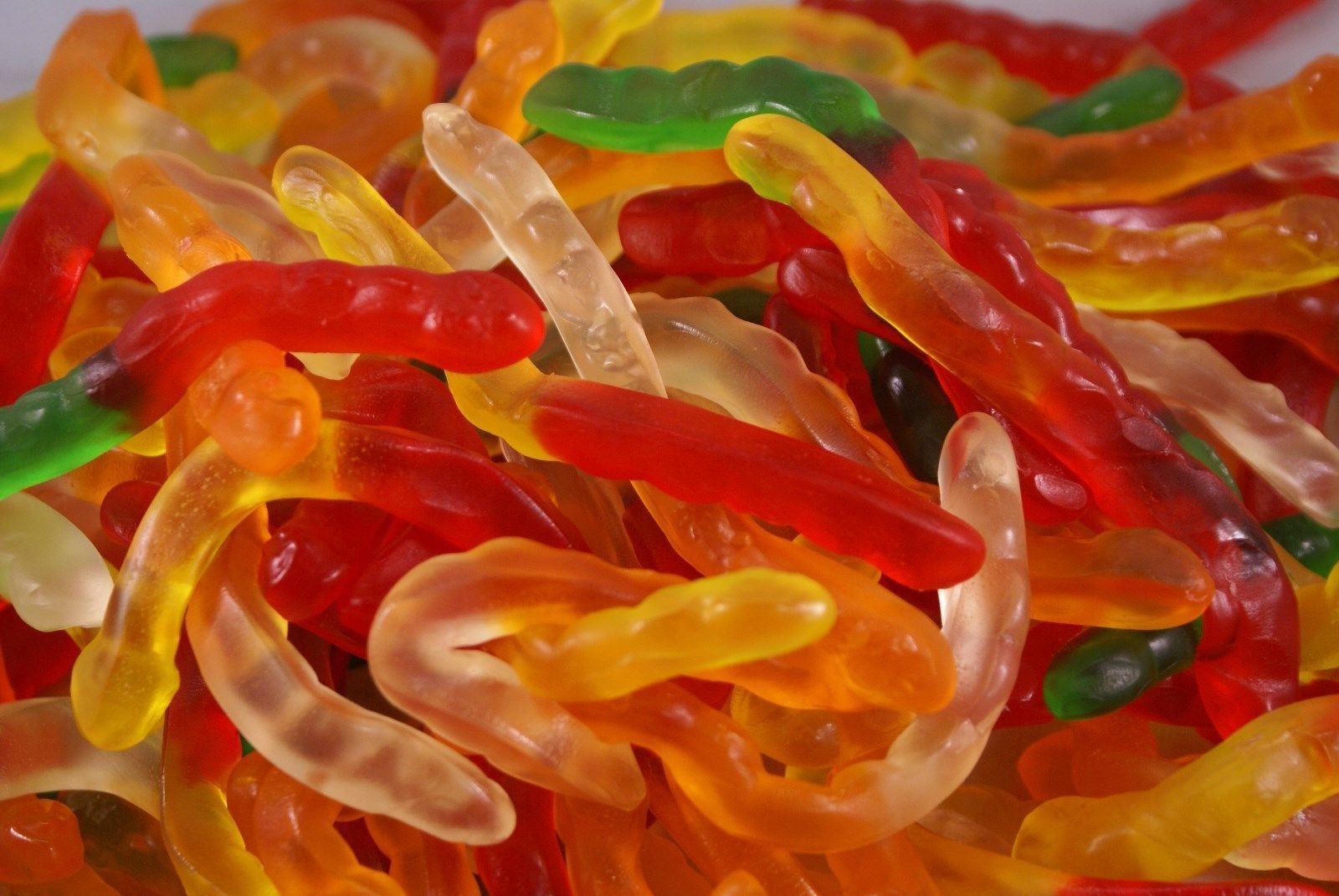 Pictures Of Gummy Worms