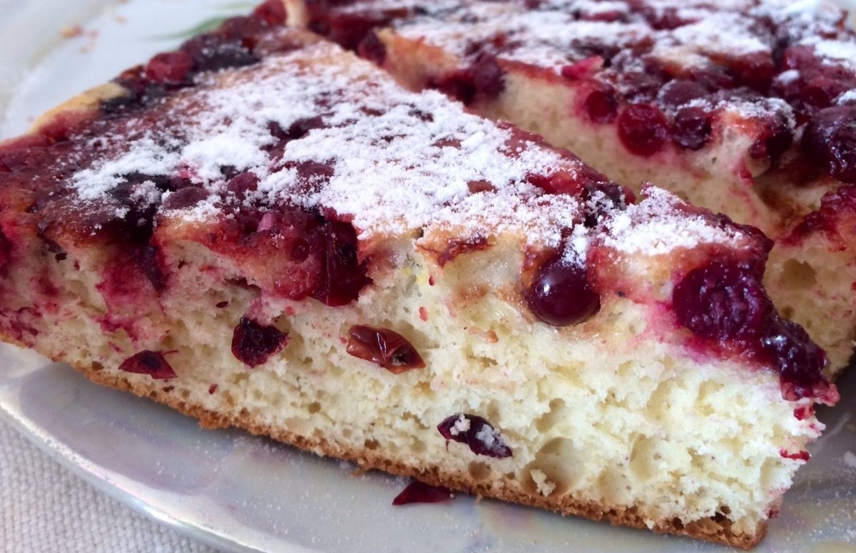 Шарлотка с клюквой