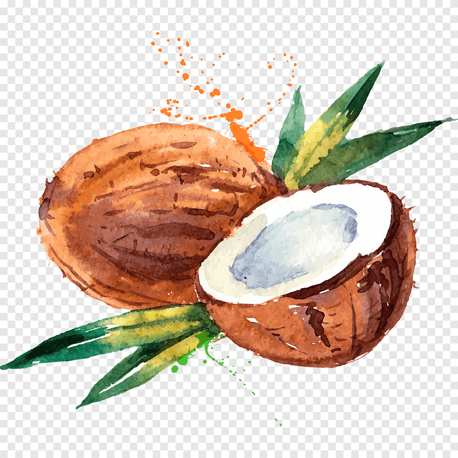 Benefruit Кокос
