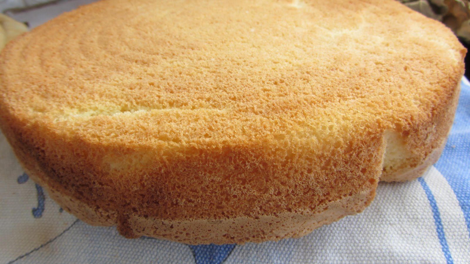 Пышный бисквит на сметане в духовке. Бисквит. Бисквит для торта пышный. Пористый бисквит. Бисквит для торта пышный и простой.