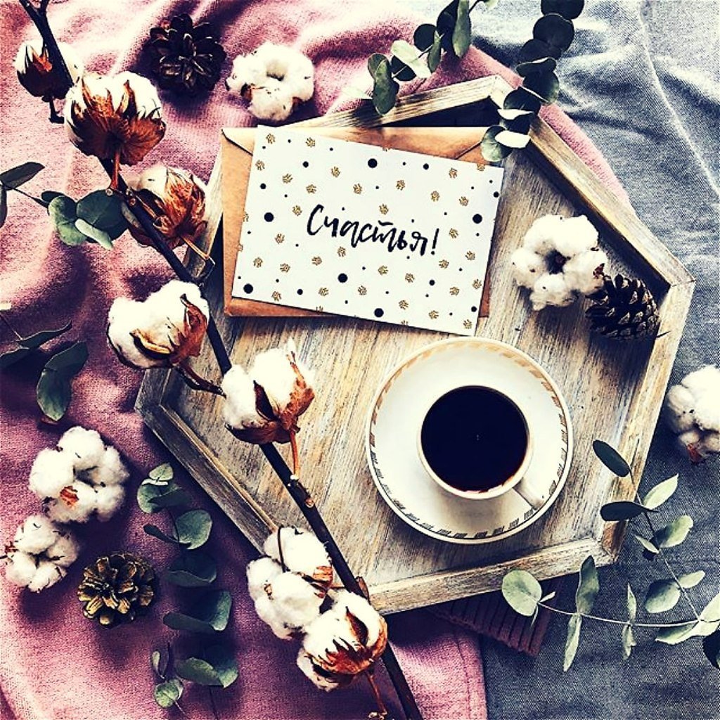 Клубника в шоколаде Эстетика