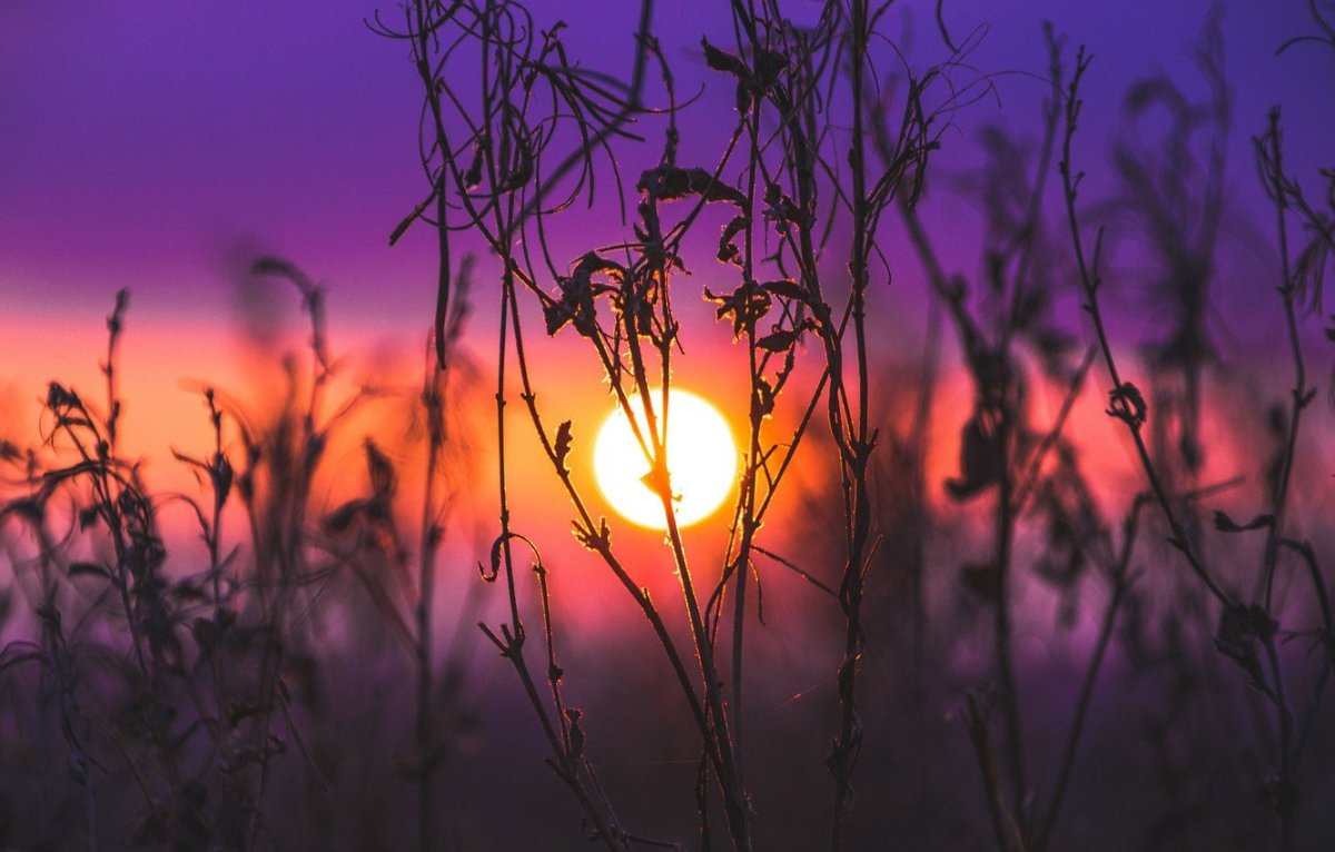 Эстетика природа закат