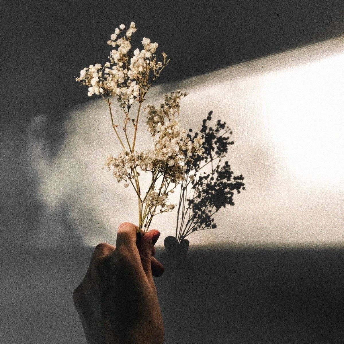 Boy aesthetic корейцы