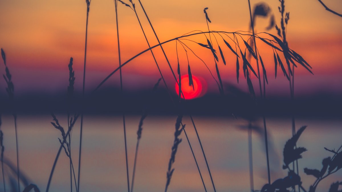 Эстетика природа закат