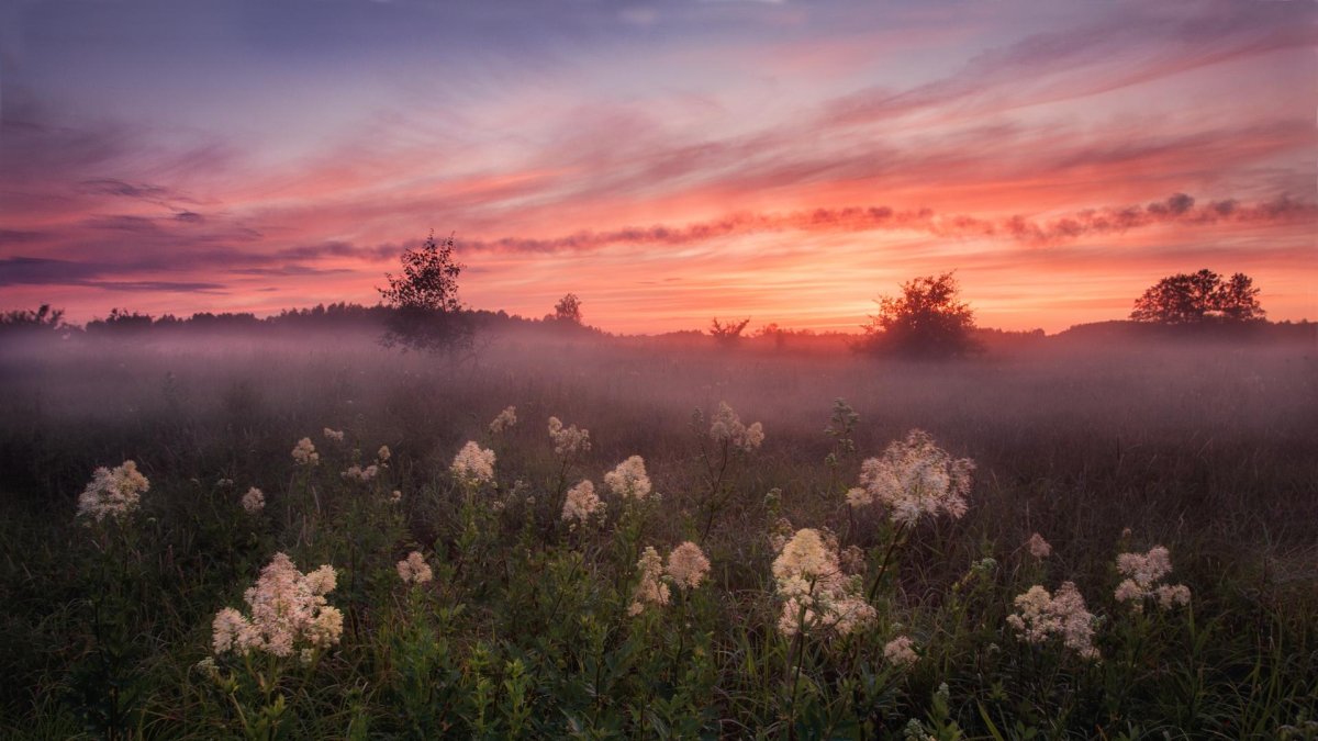 Природа рассвет