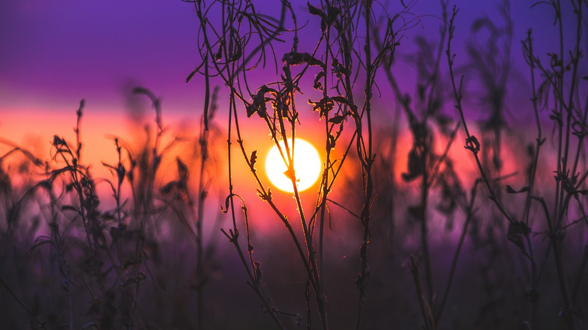 Эстетика природа закат