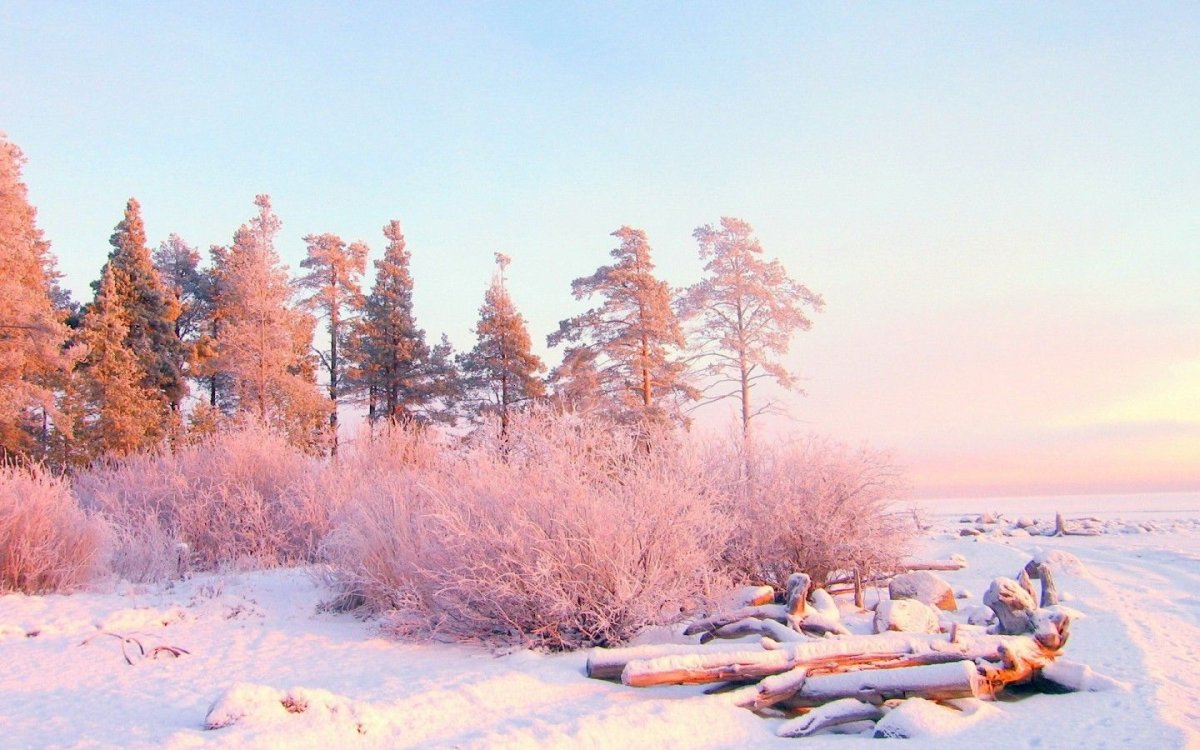 Зимний пейзаж