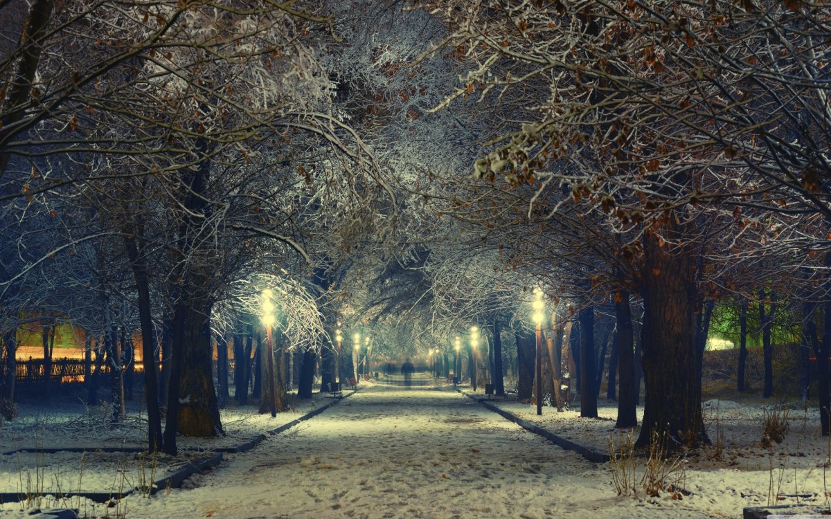 Зимняя аллея