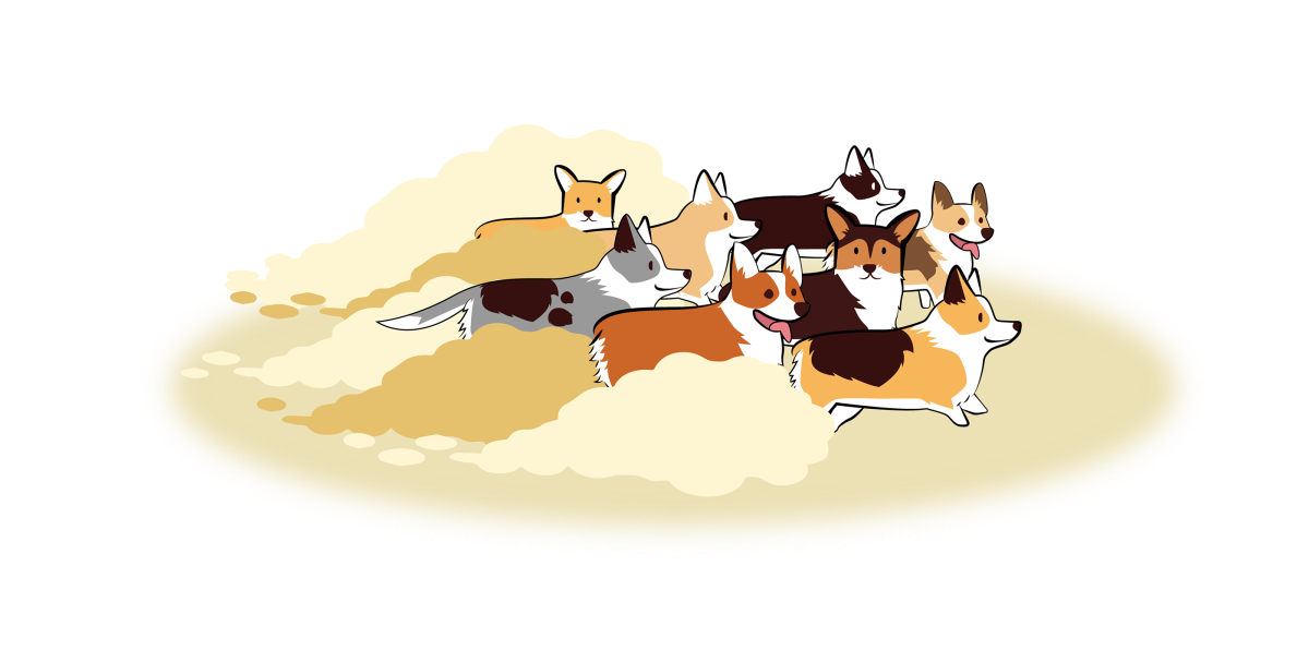 Корги лето
