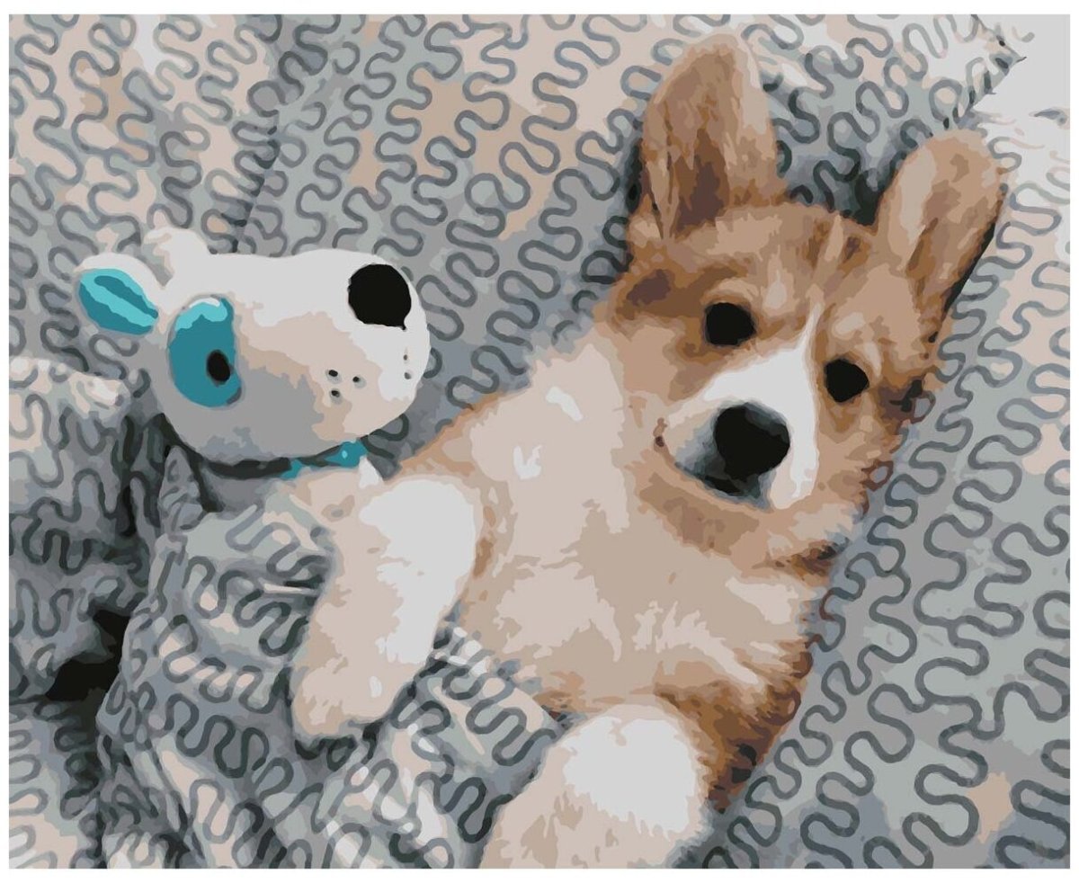 Корги обои