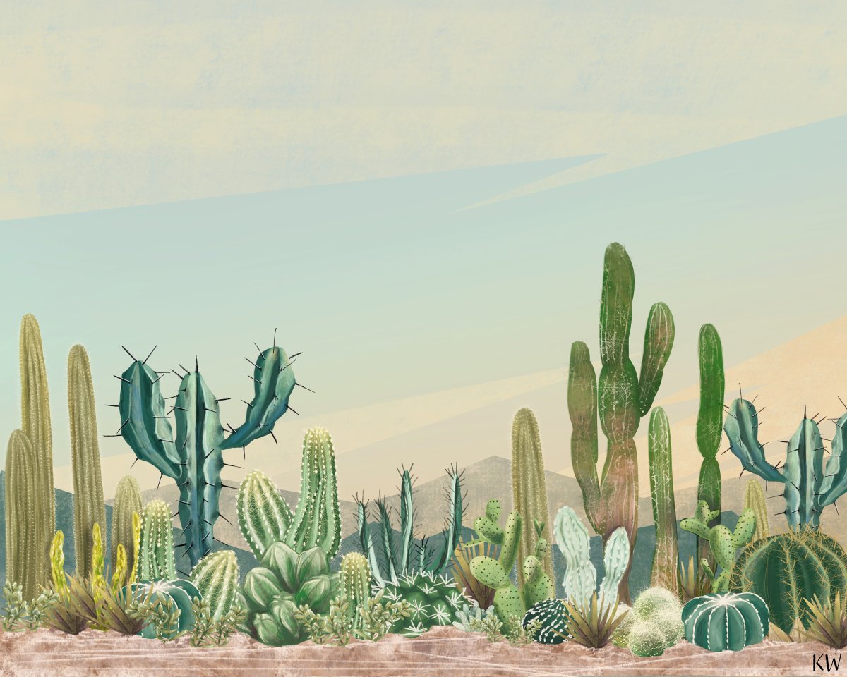 Кактус Illustrator