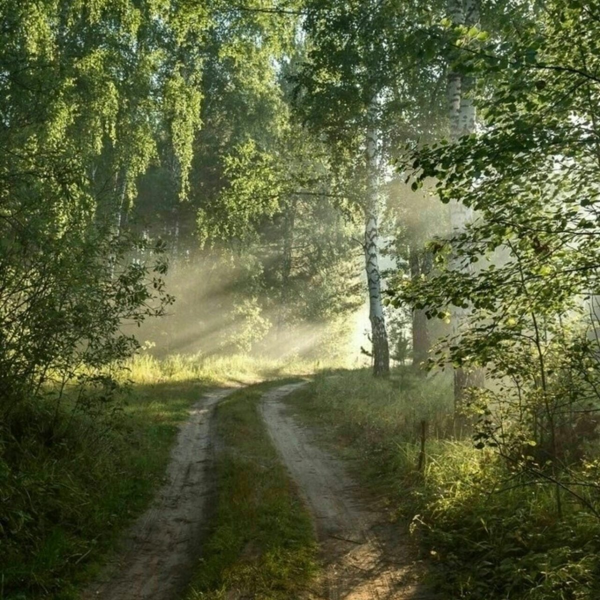 Утро в деревне