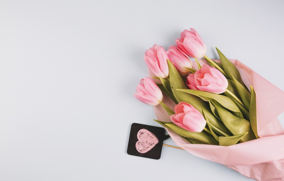 Dried Flowers сухоцветы