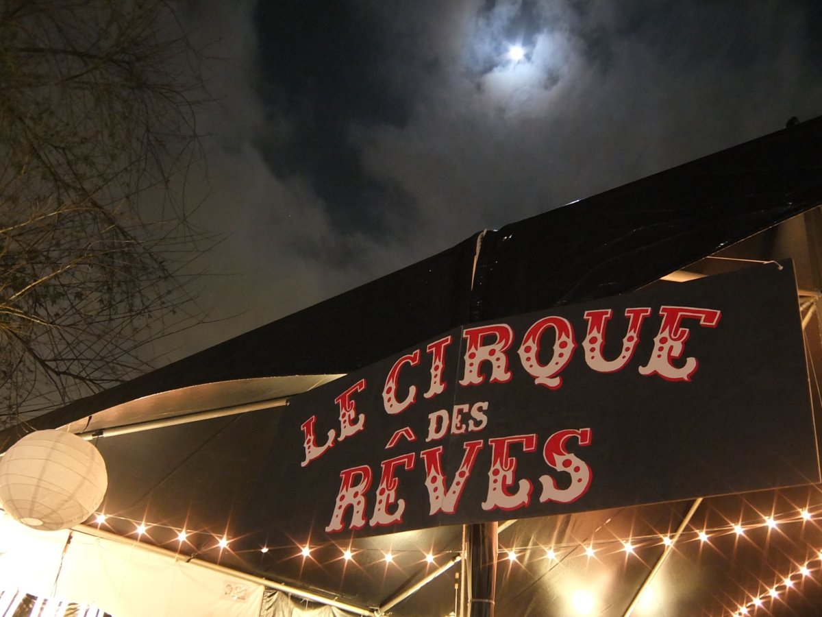 Dark Circus aesthetic
