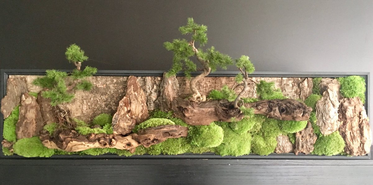 Картина из мха с корягой
