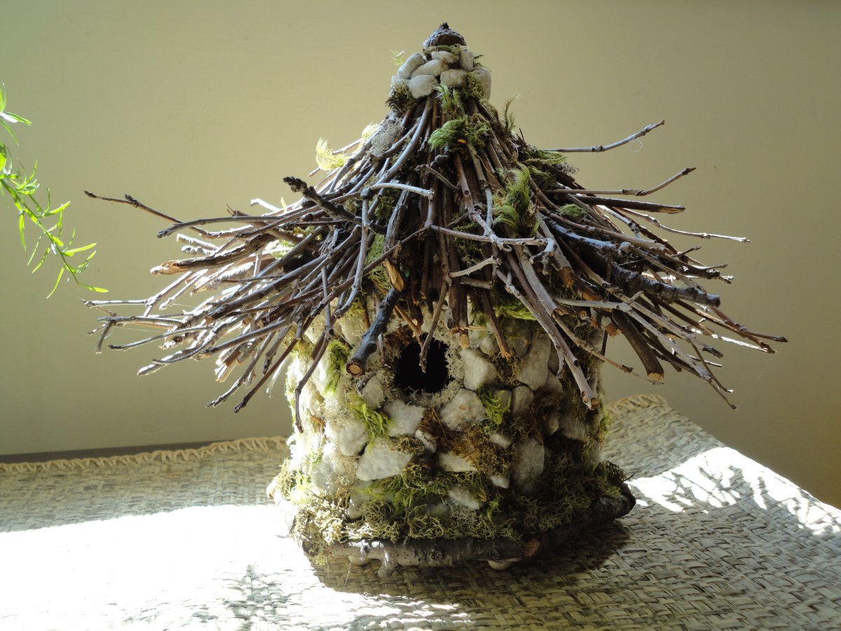 Anthill муравьиная ферма