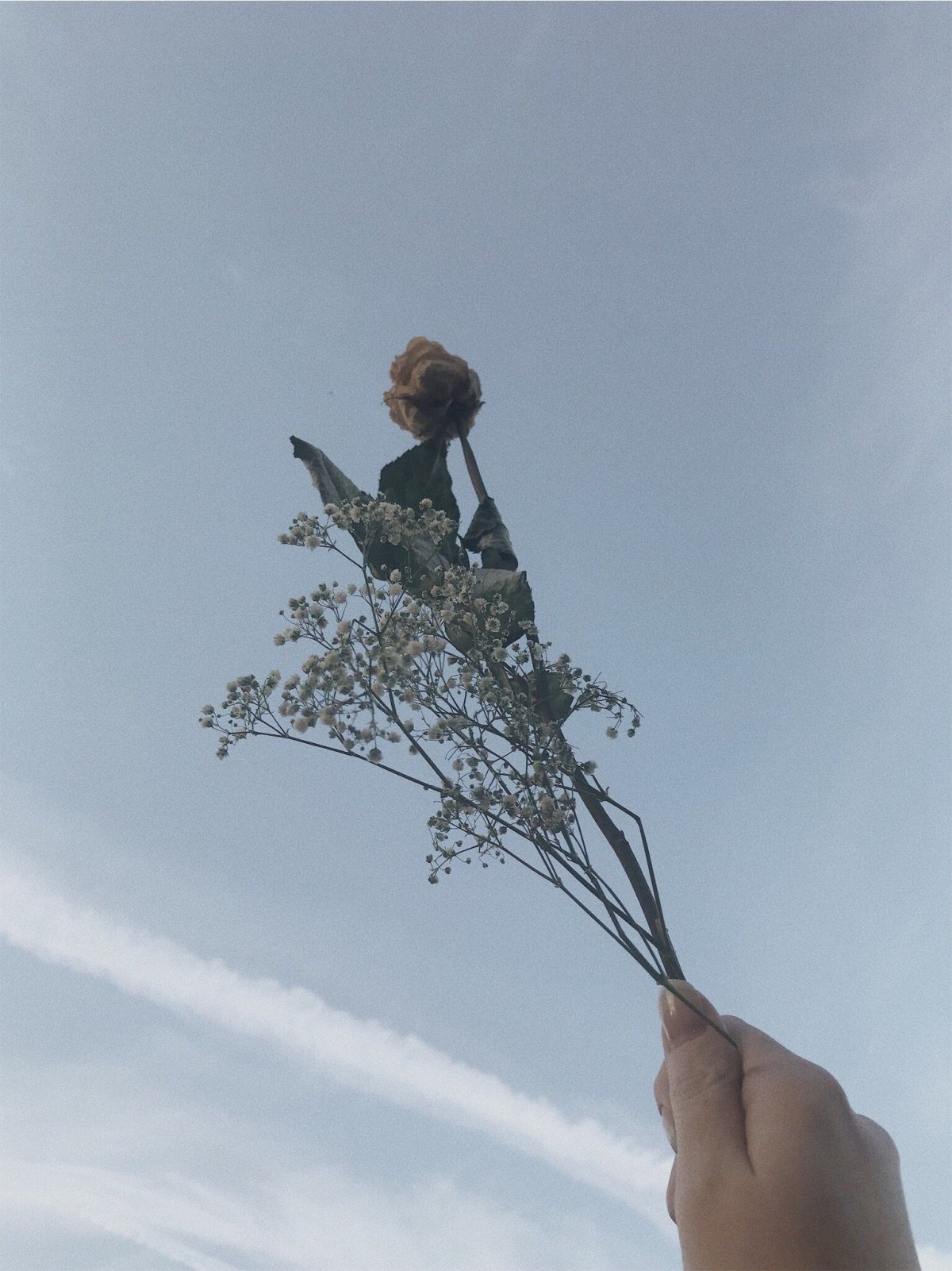 Фотоискусство из пинтереста