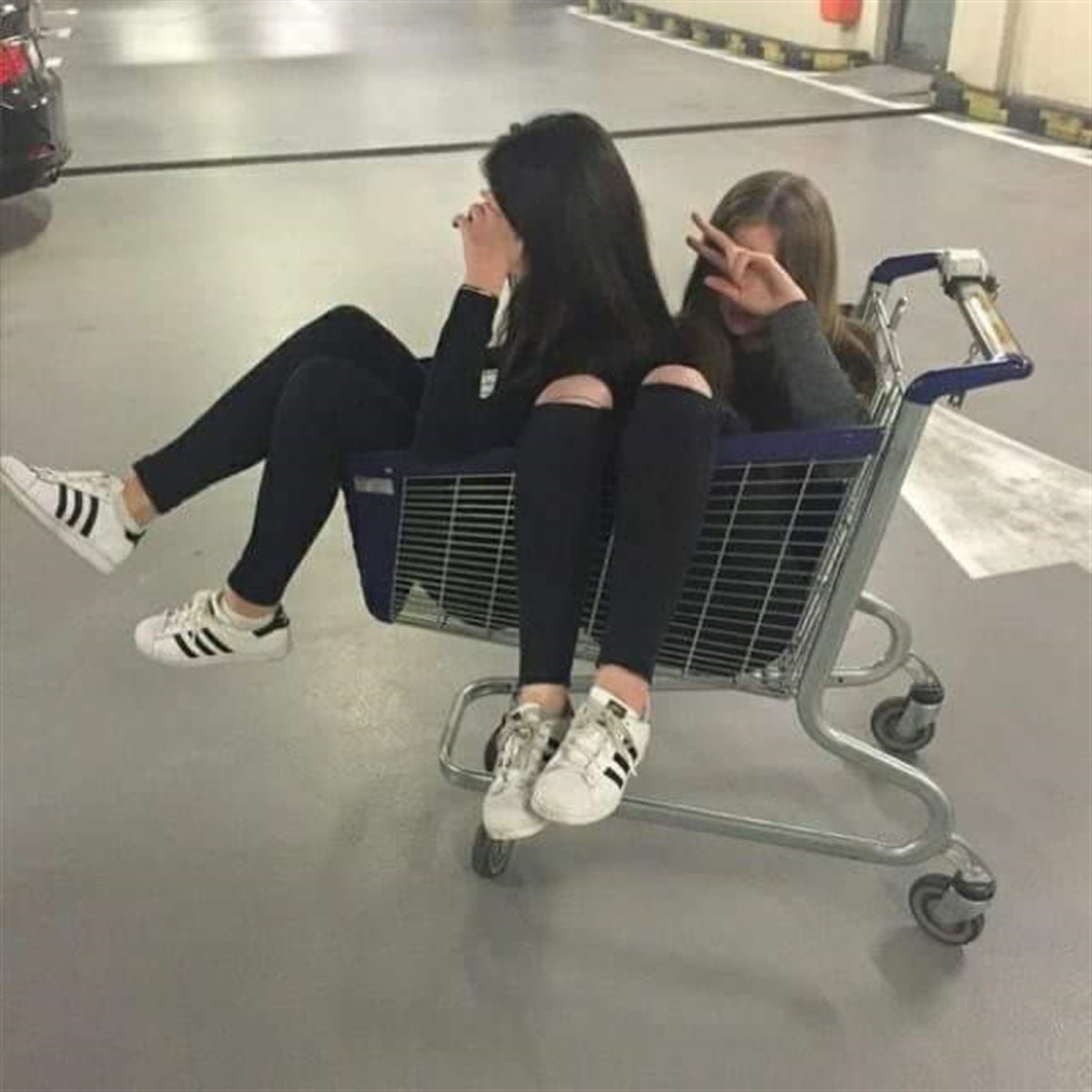 Подруги в тележке