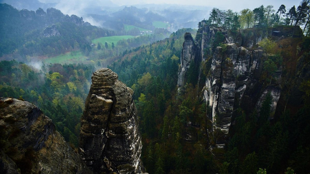 Самые красивые леса и скалы