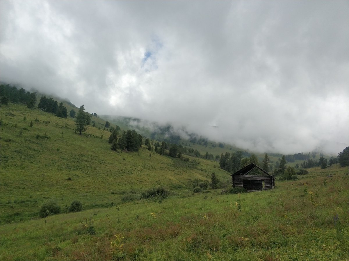 Алтай Эстетика природа
