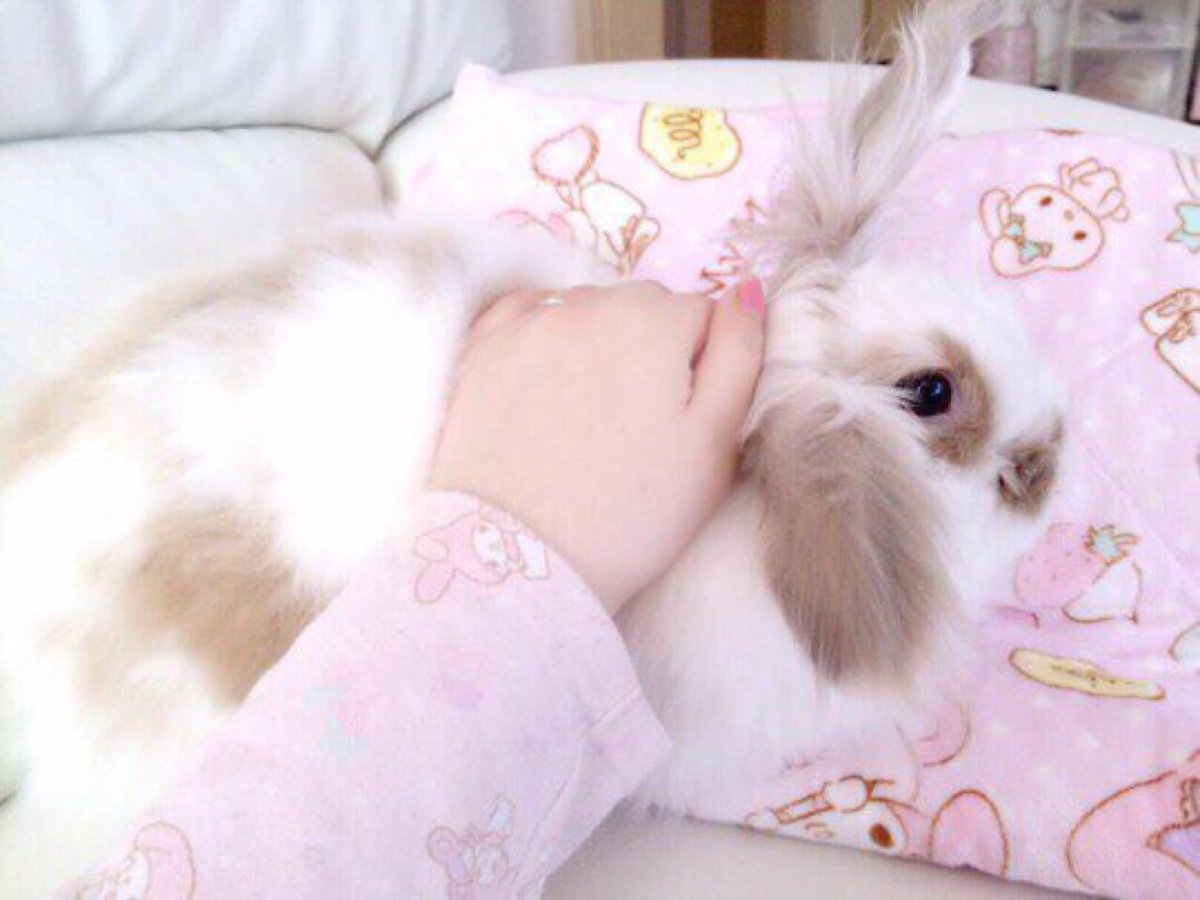 Косметики милые с животными